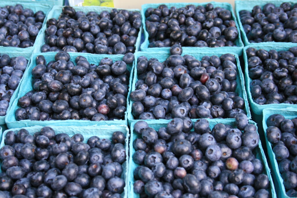 Montrose Blueberry Festival Events in PA Where & When